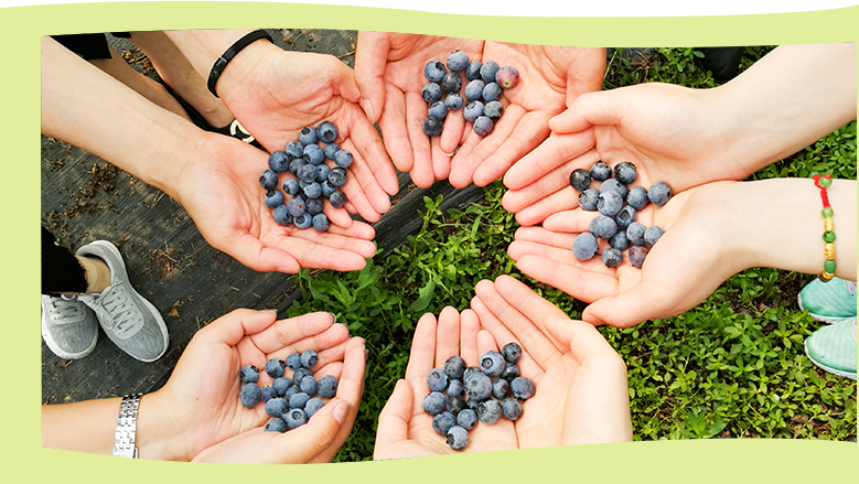 落實(shí)健全公司治理