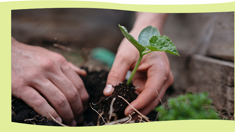 維護(hù)社會(huì)公益